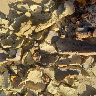  Bildname: 20210725_18531371.jpg