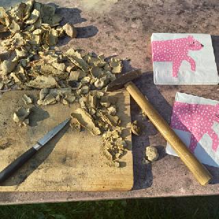  Bildname: 20210725_18532172.jpg