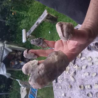  Bildname: 20210725_21150173.jpg