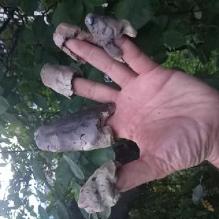  Bildname: 20210725_21150774.jpg