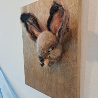  Bildname: 20250706_155903033.jpg