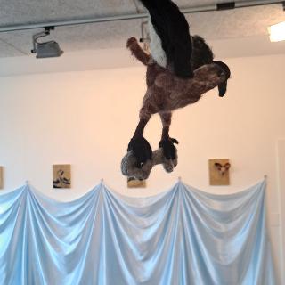  Bildname: 20250706_155921034.jpg