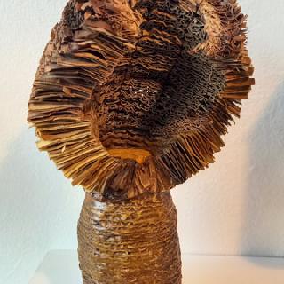  Bildname: 20211007_17133510.jpg