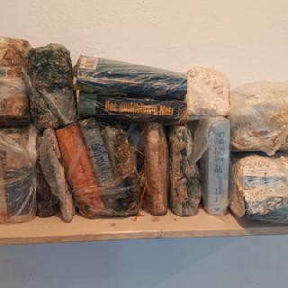  Bildname: 20211007_17483626.jpg