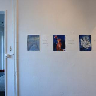  Bildname: Stefan Maurer 12.jpg