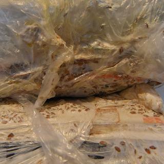  Bildname: Stefan Maurer 2.jpg