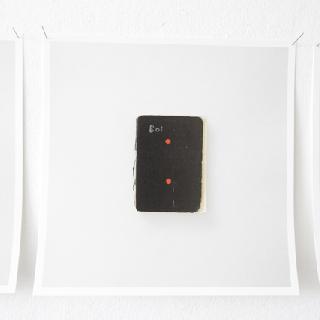  Bildname: IMG_5227.JPG