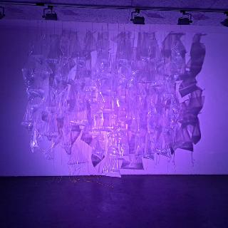  Bildname: 20250329_150324002.jpg