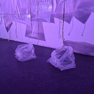  Bildname: 20250329_151339010.jpg