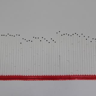  Bildname: MG_018.JPG